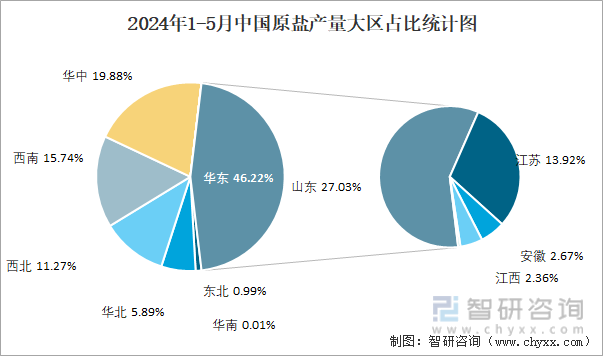 2024年1-5月中国原盐产量大区占比统计图