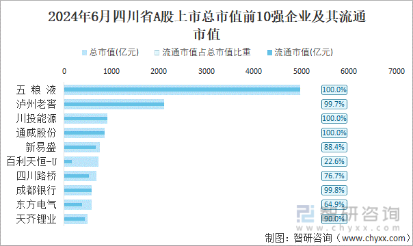 2024年6月四川省A股上市总市值前10强企业及其流通市值