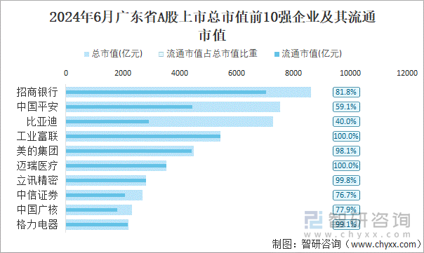 2024年6月广东省A股上市总市值前10强企业及其流通市值