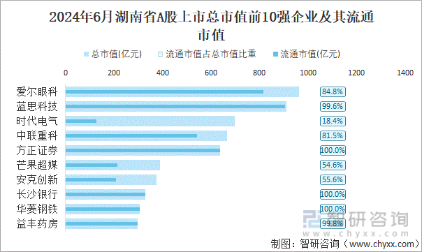 2024年6月湖南省A股上市总市值前10强企业及其流通市值