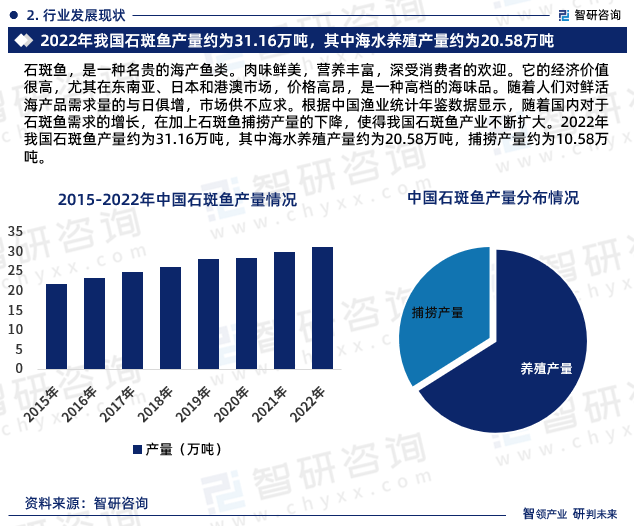 石斑鱼，是一种名贵的海产鱼类。肉味鲜美，营养丰富，深受消费者的欢迎。它的经济价值很高，尤其在东南亚、日本和港澳市场，价格高昂，是一种高档的海味品。随着人们对鲜活海产品需求量的与日俱增，市场供不应求。根据中国渔业统计年鉴数据显示，随着国内对于石斑鱼需求的增长，在加上石斑鱼捕捞产量的下降，使得我国石斑鱼产业不断扩大。2022年我国石斑鱼产量约为31.16万吨，其中海水养殖产量约为20.58万吨，捕捞产量约为10.58万吨。