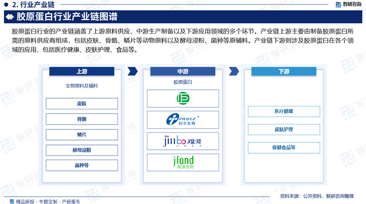 胶原蛋白行业的产业链涵盖了上游原料供应、中游生产制备以及下游应用领域的多个环节。上游原料主要包括动物皮、骨、鳞等。这些原料经过特殊处理后可以提取出胶原蛋白。目前，国内外均有大量的原料供应商，为胶原蛋白生产企业提供稳定的原料供应。同时，随着环保意识的提高，原料供应商也在不断提升原料的环保性和可持续性，以满足市场需求；产业链下游则涉及胶原蛋白在各个领域的应用，包括医疗、皮肤护理、食品等。