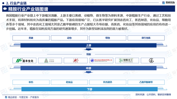 目前精胺的應(yīng)用已經(jīng)從最早的醫(yī)學(xué)研究延伸到農(nóng)藥化工、醫(yī)藥制造、化妝品、細(xì)胞培養(yǎng)等各個方面，其中精胺行業(yè)的投資在以乙酰甲胺磷為主的農(nóng)藥化工領(lǐng)域占主要部分，其他領(lǐng)域還有待研究開發(fā)。近年來，精胺在飼料應(yīng)用方面的研究逐漸增加，精胺作為新型飼料添加劑或?qū)⒊蔀橐粋€新的投資方向，其研究與開發(fā)將為我國畜牧生產(chǎn)開辟一條新的途徑，為養(yǎng)殖業(yè)帶來新的突破。精胺廣泛分布于一切動物、植物和微生物體內(nèi)，因此它存在于所有人類食品和動物日糧中。豬飼料中含有玉米、豆粕和魚粉等物質(zhì)，所以飼料中也含有一定量的精胺。