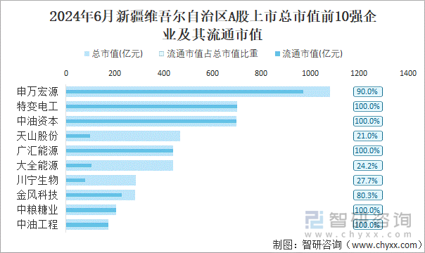 2024年6月新疆维吾尔自治区A股上市总市值前10强企业及其流通市值