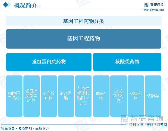 基因工程药物分类