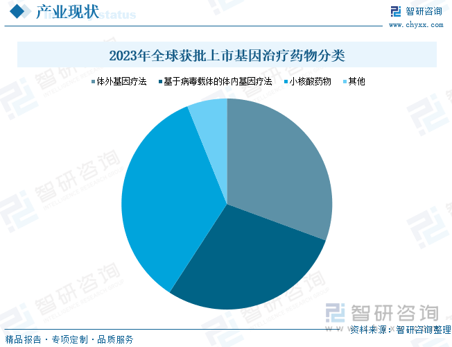 2023年全球获批上市基因治疗药物分类