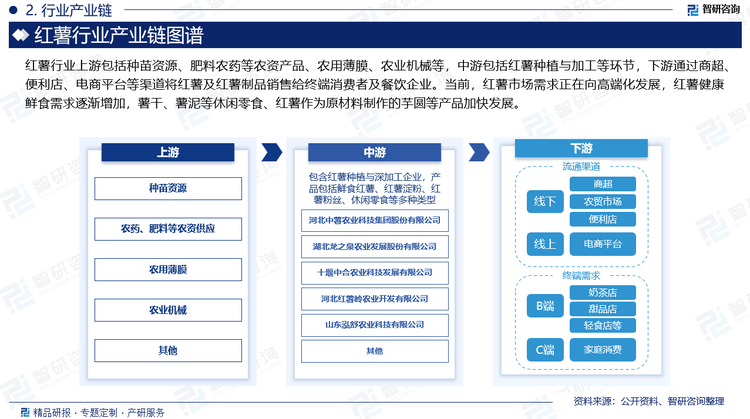 下游需求方面，当前红薯市场需求正在向高端化发展。鲜食市场中烤红薯越来越受市场欢迎，消费者在健康餐饮、粗粮主食来源等方面红薯需求增加；加工市场中淀粉、粉丝加工用需求基本保持稳定，薯干、薯泥、甘薯果脯等休闲零食加快发展，以甘薯为原料生产的芋圆供应奶茶店、甜品店等休闲餐饮渠道需求增加。