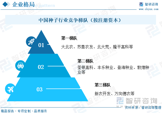 中国种子行业竞争梯队（按注册资本）