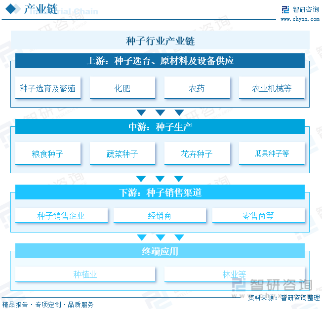 种子行业产业链