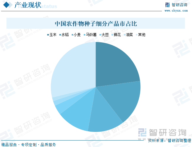 中国农作物种子细分产品市占比