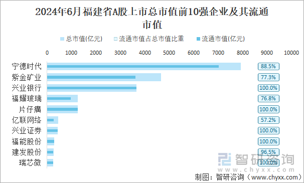 2024年6月福建省A股上市总市值前10强企业及其流通市值