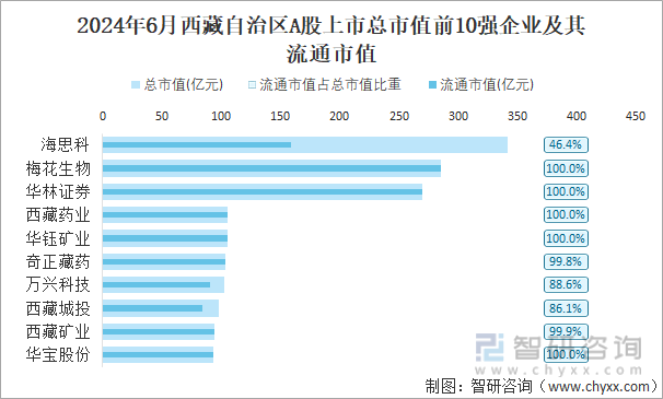 2024年6月西藏自治区A股上市总市值前10强企业及其流通市值