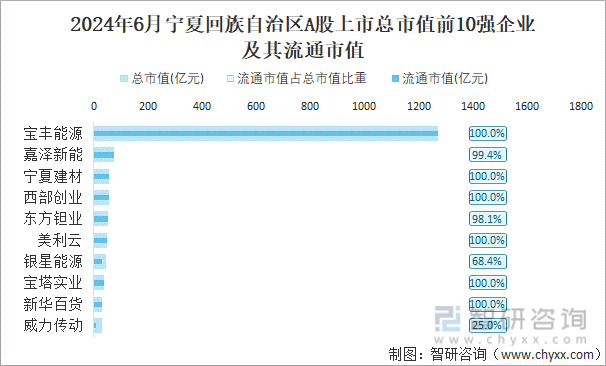 2024年6月宁夏回族自治区A股上市总市值前10强企业及其流通市值