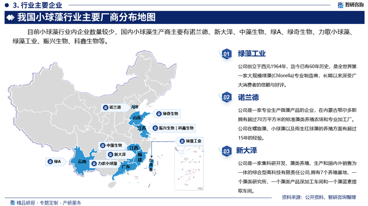 目前小球藻行业内企业数量较少，国内小球藻生产商主要有诺兰德、新大泽、中藻生物、绿A、绿奇生物、力歌小球藻、绿藻工业、赈兴生物、科鑫生物等。其中绿藻工业创立于西元1964年，迄今已有60年历史，是全世界第一家大规模绿藻(Chlorella)专业制造商，长期以来深受广大消费者的信赖与好评。诺兰德是一家专业生产微藻产品的企业，在内蒙古鄂尔多斯拥有超过70万平方米的标准藻类养殖农场和专业加工厂。公司在螺旋藻、小球藻以及雨生红球藻的养殖方面有超过15年的经验。新大泽是一家集科研开发、藻类养殖、生产和国内外销售为一体的综合型高科技有限责任公司,拥有7个养殖基地、一个藻类研究所、一个藻类产品深加工车间和一个藻蓝素提取车间。