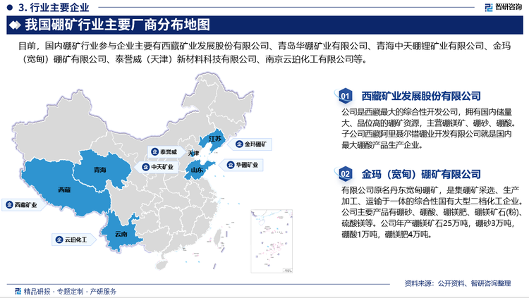 目前，国内硼矿行业参与企业主要有西藏矿业发展股份有限公司、青岛华硼矿业有限公司、青海中天硼锂矿业有限公司、金玛（宽甸）硼矿有限公司、泰誉威（天津）新材料科技有限公司等。