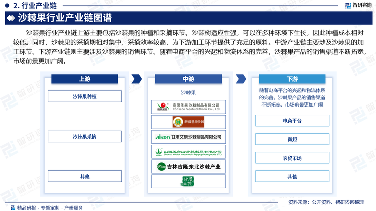 沙棘果行业产业链上游主要包括沙棘果的种植和采摘环节。沙棘树适应性强，可以在多种环境下生长，因此种植成本相对较低。同时，沙棘果的采摘期相对集中，采摘效率较高，为下游加工环节提供了充足的原料。中游产业链主要涉及沙棘果的加工环节。下游产业链则主要涉及沙棘果的销售环节。随着电商平台的兴起和物流体系的完善，沙棘果产品的销售渠道不断拓宽，市场前景更加广阔。