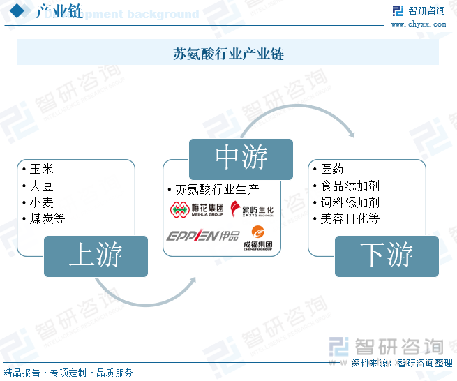 苏氨酸行业产业链