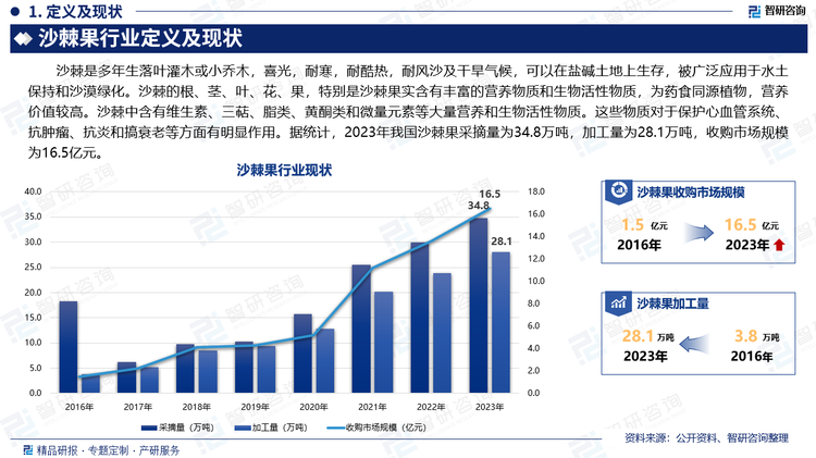 沙棘是多年生落叶灌木或小乔木，喜光，耐寒，耐酷热，耐风沙及干旱气候，可以在盐碱土地上生存，被广泛应用于水土保持和沙漠绿化。沙棘的根、茎、叶、花、果，特别是沙棘果实含有丰富的营养物质和生物活性物质，为药食同源植物，营养价值较高。沙棘中含有维生素、三萜、脂类、黄酮类和微量元素等大量营养和生物活性物质。这些物质对于保护心血管系统、抗肿瘤、抗炎和搞衰老等方面有明显作用。据统计，2023年我国沙棘果采摘量为34.8万吨，加工量为28.1万吨，收购市场规模为16.5亿元。