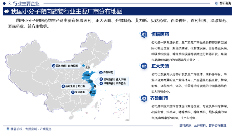 国内小分子靶向药物生产商主要有恒瑞医药、正大天晴、齐鲁制药、艾力斯、贝达药业、百济神州、首药控股、泽璟制药、豪森药业、益方生物等。其中恒瑞医药是一家专注研发、生产及推广高品质药物的创新型国际化制药企业，聚焦抗肿瘤、代谢性疾病、自身免疫疾病、呼吸系统疾病、神经系统疾病等领域进行新药研发，是国内最具创新能力的制药龙头企业之一。正大天晴已发展为以药物研发及生产为主体，原料药平台、商业平台为两翼的全产业链格局，产品涵盖心脑血管、肿瘤、影像、外科围术、消化、泌尿等治疗领域的中国化药综合实力百强企业。齐鲁制药是中国大型综合性现代制药企业，专业从事治疗肿瘤、心脑血管、抗感染、精神系统、神经系统、眼科疾病的制剂及其原料药的研制、生产与销售。