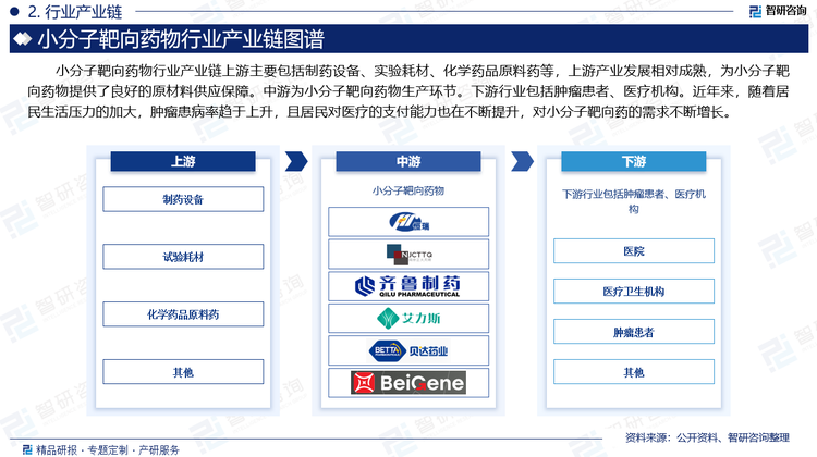 小分子靶向药物行业产业链上游主要包括制药设备、实验耗材、化学药品原料药等，上游产业发展相对成熟，为小分子靶向药物提供了良好的原材料供应保障。中游为小分子靶向药物生产环节。下游行业包括肿瘤患者、医疗机构。近年来，随着居民生活压力的加大，肿瘤患病率趋于上升，且居民对医疗的支付能力也在不断提升，对小分子靶向药的需求不断增长。