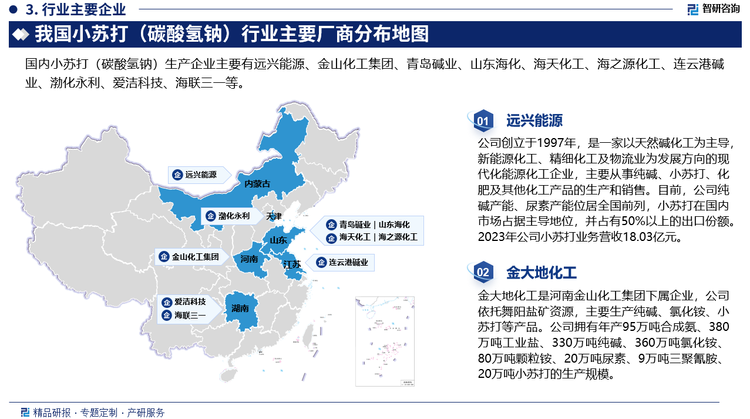 由于小苏打行业具有与产品标准化程度及市场化程度高的特点，企业生产成本是对企业的竞争能力影响较大的因素。在我国近年来对小苏打行业产能限制和环保力度加大的背景下，低产能、落后产能被逐步淘汰，行业内加速兼并重组，行业洗牌。目前，国内小苏打（碳酸氢钠）生产企业主要有远兴能源、金山化工集团、青岛碱业、山东海化、海天化工、海之源化工、连云港碱业、渤化永利、爱洁科技、海联三一等。