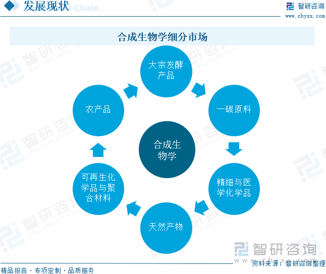 合成生物学细分市场