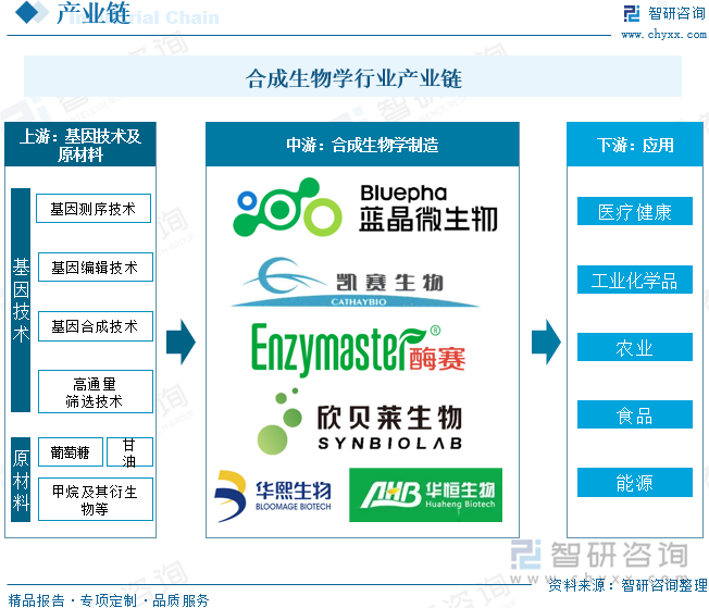 合成生物学行业产业链