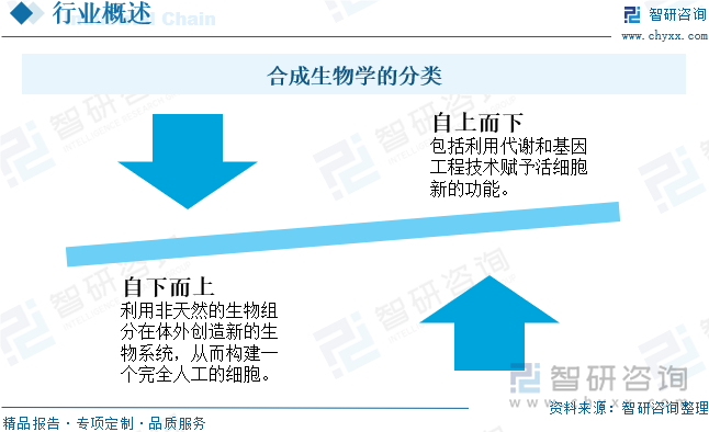 合成生物学的分类