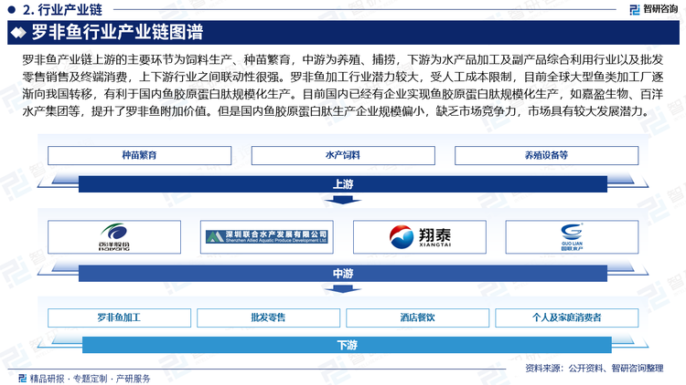 罗非鱼产业链构成与一般的水产养殖基本一致，行业上游的主要环节为饲料生产、种苗繁育，中游为养殖、捕捞，下游为水产品加工及副产品综合利用行业以及批发零售销售及终端消费，上下游行业之间联动性很强。罗非鱼加工行业潜力较大，受人工成本限制，目前全球大型鱼类加工厂逐渐向我国转移，有利于国内鱼胶原蛋白肽规模化生产。目前国内已经有企业实现鱼胶原蛋白肽规模化生产，如嘉盈生物、百洋水产集团等，提升了罗非鱼附加价值。但是国内鱼胶原蛋白肽生产企业规模偏小，缺乏市场竞争力，市场具有较大发展潜力。