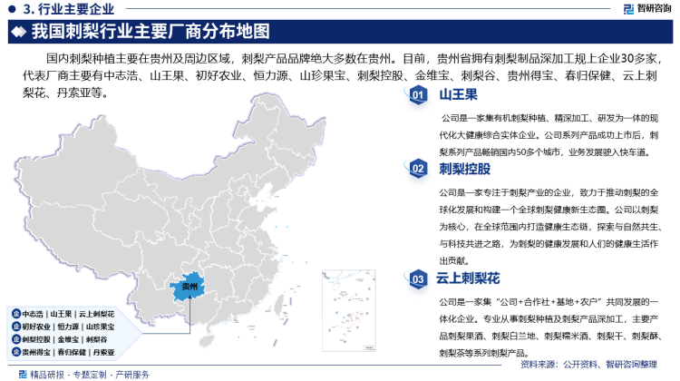 其中山王果是一家集有机刺梨种植、精深加工、研发为一体的现代化大健康综合实体企业。公司系列产品成功上市后，刺梨系列产品畅销国内50多个城市，业务发展驶入快车道。刺梨控股是一家专注于刺梨产业的企业，致力于推动刺梨的全球化发展和构建一个全球刺梨健康新生态圈。公司以刺梨为核心，在全球范围内打造健康生态链，探索与自然共生、与科技共进之路，为刺梨的健康发展和人们的健康生活作出贡献。云上刺梨花是一家集“公司+合作社+基地+农户”共同发展的一体化企业。专业从事刺梨种植及刺梨产品深加工，主要产品刺梨果酒、刺梨白兰地、刺梨糯米酒、刺梨干、刺梨酥、刺梨茶等系列刺梨产品。