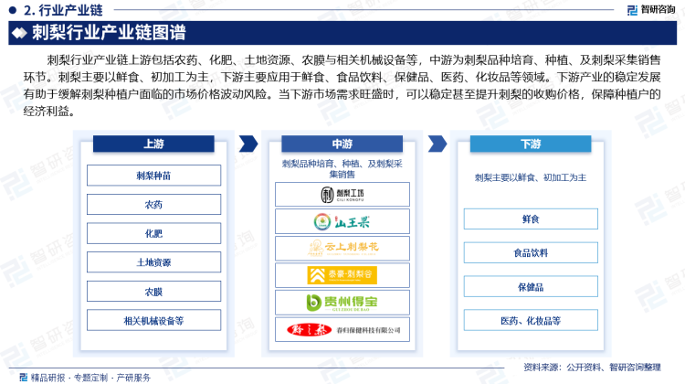 刺梨行业产业链上游包括农药、化肥、土地资源、农膜与相关机械设备等，中游为刺梨品种培育、种植、及刺梨采集销售环节。刺梨主要以鲜食、初加工为主，下游主要应用于鲜食、食品饮料、保健品、医药、化妆品等领域。下游产业的稳定发展有助于缓解刺梨种植户面临的市场价格波动风险。当下游市场需求旺盛时，可以稳定甚至提升刺梨的收购价格，保障种植户的经济利益。