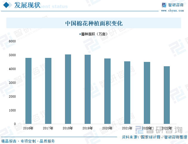 中国棉花种植面积变化