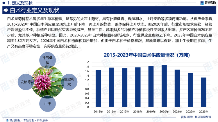 从供应量来看，2015-2020年中国白术供应量呈现先上升后下降，再上升的趋势，整体保持上升状态。但2020年后，行业市场需求疲软，经营户普遍盈利不佳，种植户则因自然灾害导致减产，甚至亏损。越来越多的种植户种植积极性受到很大影响，多产区弃种情况不在少数，尤其散户种植减种明显。因此，2020-2023年白术种植面积逐渐减少，行业供应量也随之下降。2023年中国白术供应量减至1.32万吨左右。2024年中国白术种植面积有所增加，但由于白术种子价格暴涨，其质量难以保证，加上生长期怕多雨，生产又有高度不稳定性，实际供应量仍待观望。