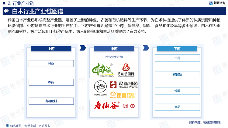 我国白术产业已形成完整产业链，涵盖了上游的种业、农药和有机肥料等生产环节，为白术种植提供了优质的种质资源和种植环境保障。中游是指白术行业的生产加工。下游产业链则涵盖了中药、保健品、饲料、食品和化妆品等多个领域，白术作为重要的原材料，被广泛应用于各种产品中，为人们的健康和生活品质提供了有力支持。