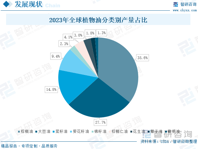 2023年全球植物油分类别产量占比