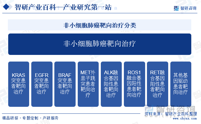 非小细胞肺癌靶向治疗分类