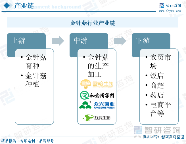  金针菇行业产业链