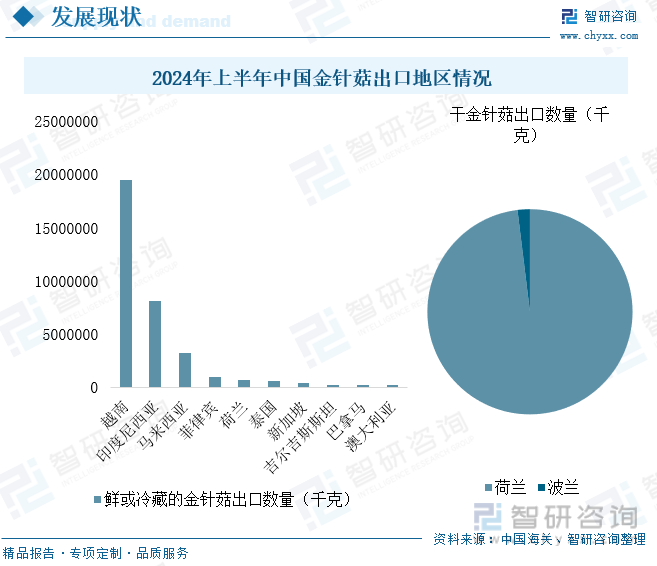 2024年上半年中国金针菇出口地区情况