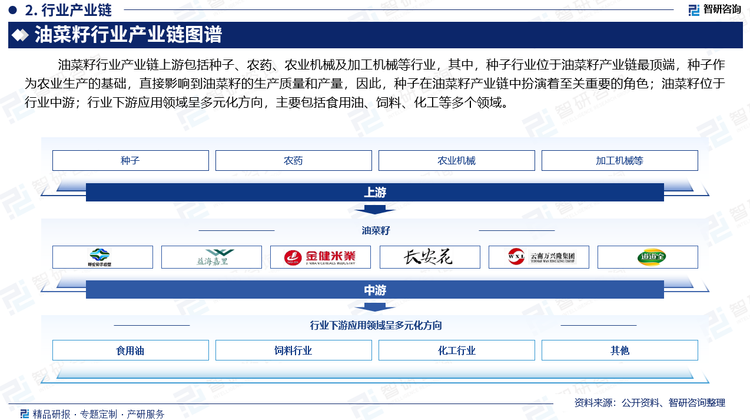 油菜籽行业产业链上游包括种子、农药、农业机械及加工机械等行业，其中，种子行业位于油菜籽产业链最顶端，种子作为农业生产的基础，直接影响到油菜籽的生产质量和产量，因此，种子在油菜籽产业链中扮演着至关重要的角色；油菜籽位于行业中游；行业下游应用领域呈多元化方向，主要包括食用油、饲料、化工等多个领域。