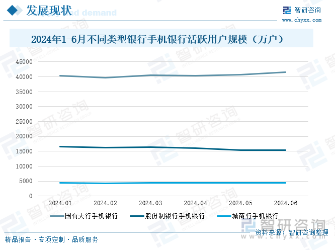 2024年1-6月不同类型银行手机银行活跃用户规模（万户）