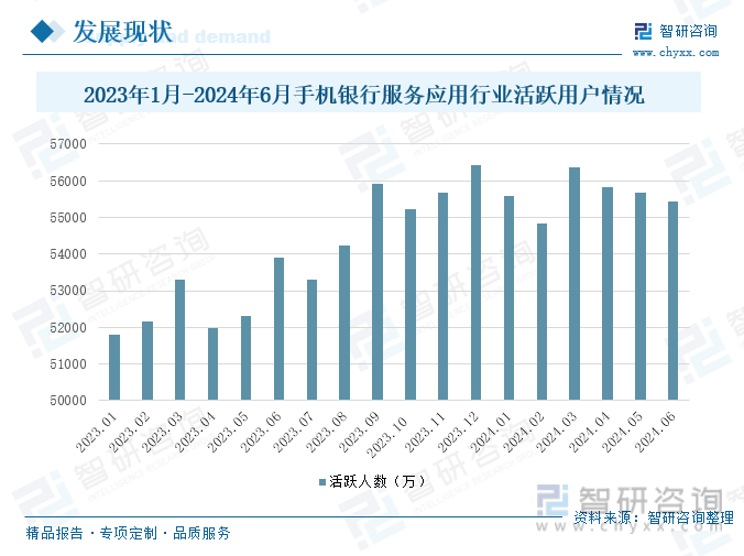 2023年1月-2024年6月手机银行服务应用行业活跃用户情况