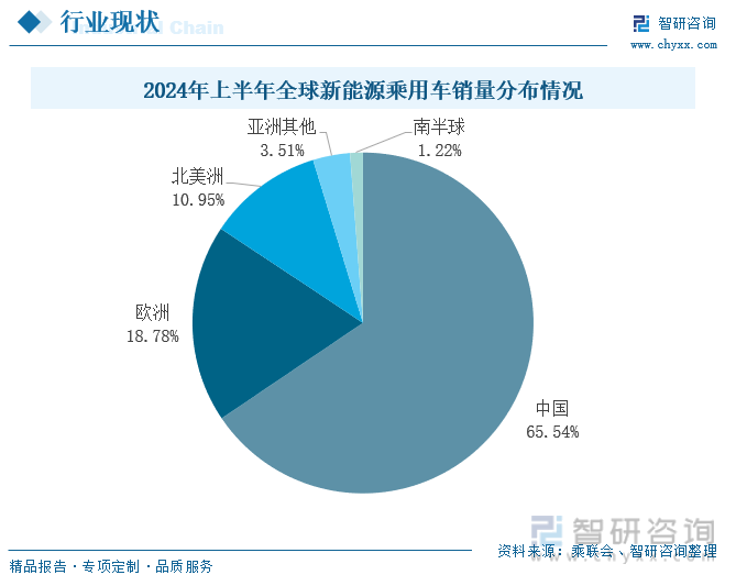 2024年上半年全球新能源乘用车销量分布情况