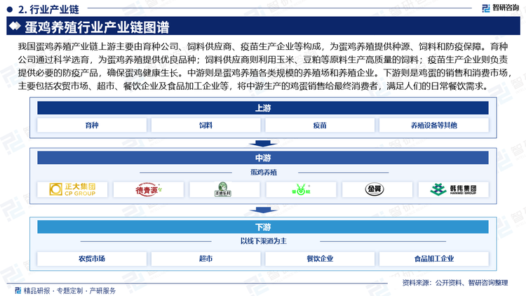 我国蛋鸡养殖产业链上游主要由育种公司、饲料供应商、疫苗生产企业等构成，为蛋鸡养殖提供种源、饲料和防疫保障。育种公司通过科学选育，为蛋鸡养殖提供优良品种；饲料供应商则利用玉米、豆粕等原料生产高质量的饲料；疫苗生产企业则负责提供必要的防疫产品，确保蛋鸡健康生长。中游则是蛋鸡养殖各类规模的养殖场和养殖企业。下游则是鸡蛋的销售和消费市场，主要包括农贸市场、超市、餐饮企业及食品加工企业等，将中游生产的鸡蛋销售给最终消费者，满足人们的日常餐饮需求。