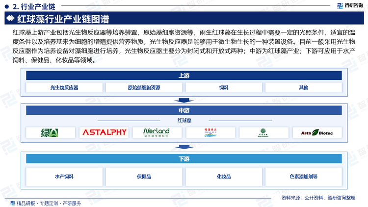 紅球藻上游產(chǎn)業(yè)包括光生物反應(yīng)器等培養(yǎng)裝置，原始藻細胞資源等，雨生紅球藻在生長過程中需要一定的光照條件、適宜的溫度條件以及培養(yǎng)基來為細胞的增殖提供營養(yǎng)物質(zhì)，光生物反應(yīng)器是能夠用于微生物生長的一種裝置設(shè)備。目前一般采用光生物反應(yīng)器作為培養(yǎng)設(shè)備對藻細胞進行培養(yǎng)，光生物反應(yīng)器主要分為封閉式和開放式兩種；中游為紅球藻產(chǎn)業(yè)；下游可應(yīng)用于水產(chǎn)飼料、保健品、化妝品等領(lǐng)域。
