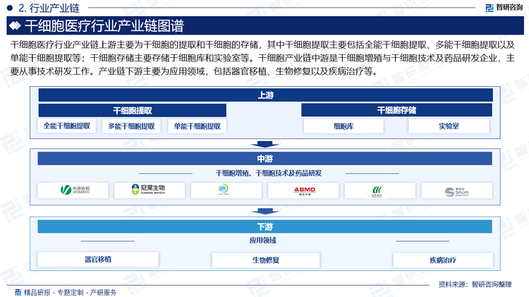 干细胞医疗行业产业链上游主要为干细胞的提取和干细胞的存储，其中干细胞提取主要包括全能干细胞提取、多能干细胞提取以及单能干细胞提取等；干细胞存储主要存储于细胞库和实验室等。干细胞产业链中游是干细胞增殖与干细胞技术及药品研发企业，主要从事技术研发工作。产业链下游主要为应用领域，包括器官移植、生物修复以及疾病治疗等。