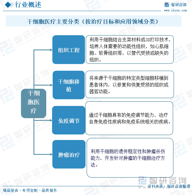 干细胞医疗主要分类（按治疗目标和应用领域分类）