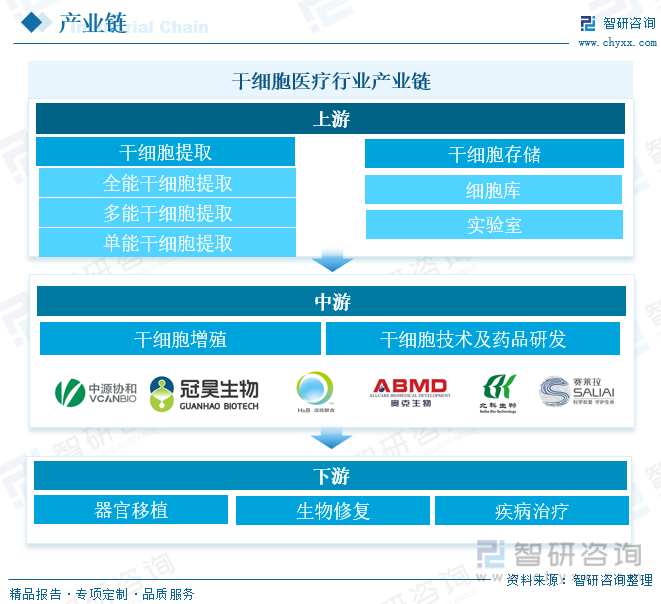 干细胞医疗行业产业链 