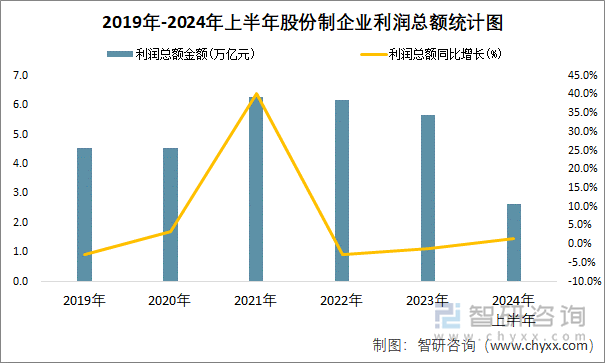 2019年-2024年上半年股份制企业利润总额统计图