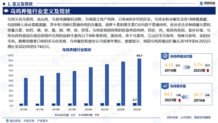 乌鸡又名乌骨鸡、武山鸡，乌骨鸡属雉科动物，为我国土特产鸡种，已有400多年的历史。乌鸡全粉水解后含有18种氨基酸，包括8种人体必需氨基酸，其中有10种比普通肉鸡的含量高，胡萝卜素和维生素C也均高于普通肉鸡，此外还含多种微量元素和常量元素，如钙、磷、铁、氯、钠、钾、镁、锌等。乌鸡是我国传统的药食两用鸡种，其皮、肉、骨具有药用、食补价值，乌鸡也具有观觉价值目前国内乌鸡的品种主要有以下6种:泰和鸡、黑凤鸡、余干乌黑鸡、江山白毛乌骨鸡、雪峰乌骨鸡、金阳丝毛鸡。随着消费者口味的多元化发展，乌鸡餐饮和食补认可度逐年增长，数据显示，我国乌鸡养殖出栏量从2016年的4.35亿只增长至2023年的5.74亿只。