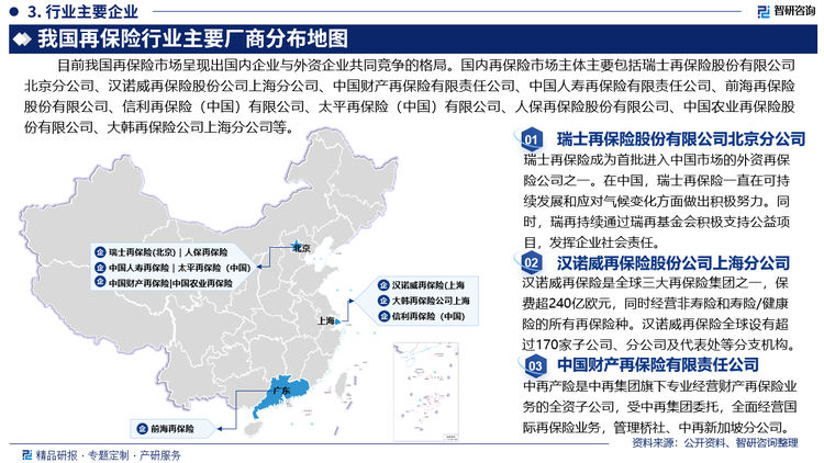 目前我国再保险市场呈现出国内企业与外资企业共同竞争的格局。国内再保险市场主体主要包括瑞士再保险股份有限公司北京分公司、汉诺威再保险股份公司上海分公司、中国财产再保险有限责任公司、中国人寿再保险有限责任公司、前海再保险股份有限公司、信利再保险（中国）有限公司、太平再保险（中国）有限公司、人保再保险股份有限公司、中国农业再保险股份有限公司、大韩再保险公司上海分公司等。